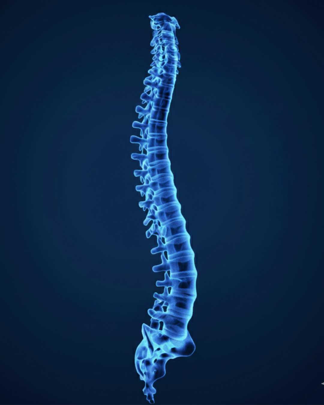 Edmonton Chiropractic Adjustments - Spinal Manipulation Treatment
