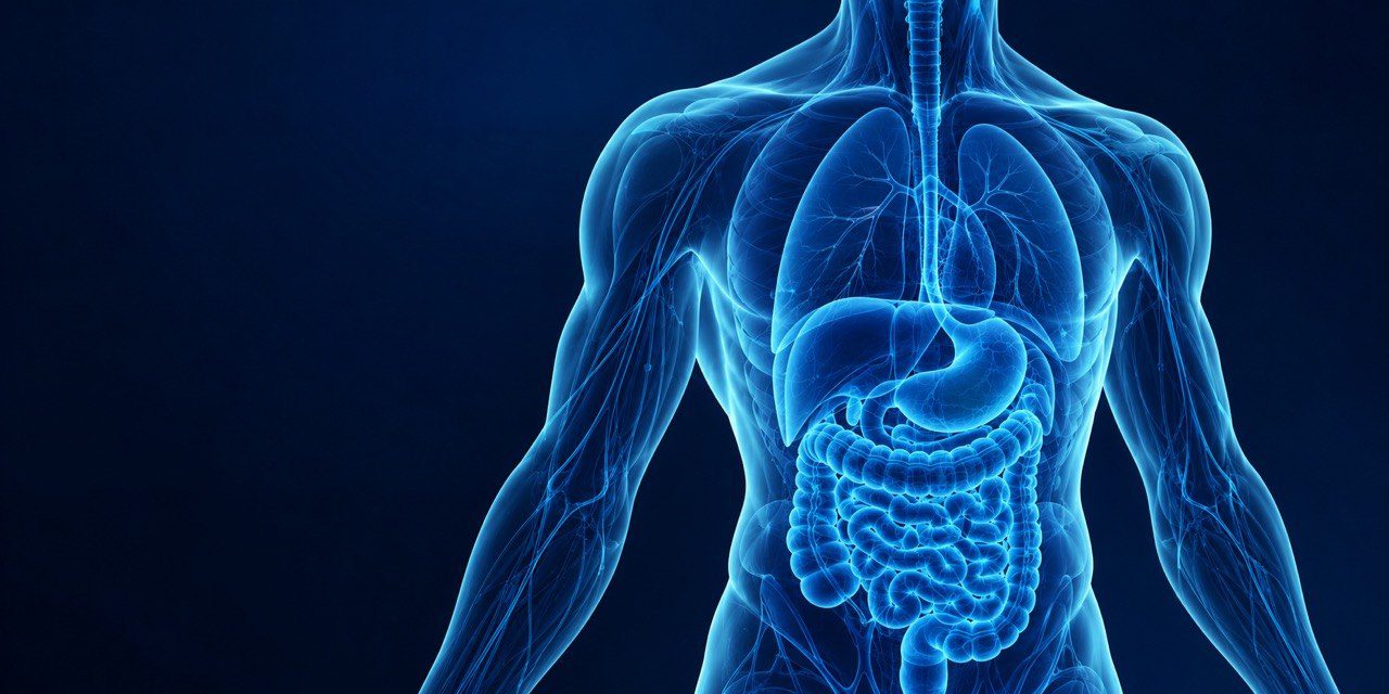 Naturopathic Medicine Edmonton - Dr. Lena Kim, ND